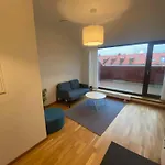 Luxurious Flat With A Private Rooftop Terrace