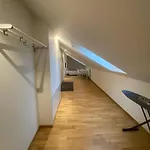 Luxurious Flat With A Private Rooftop Terrace